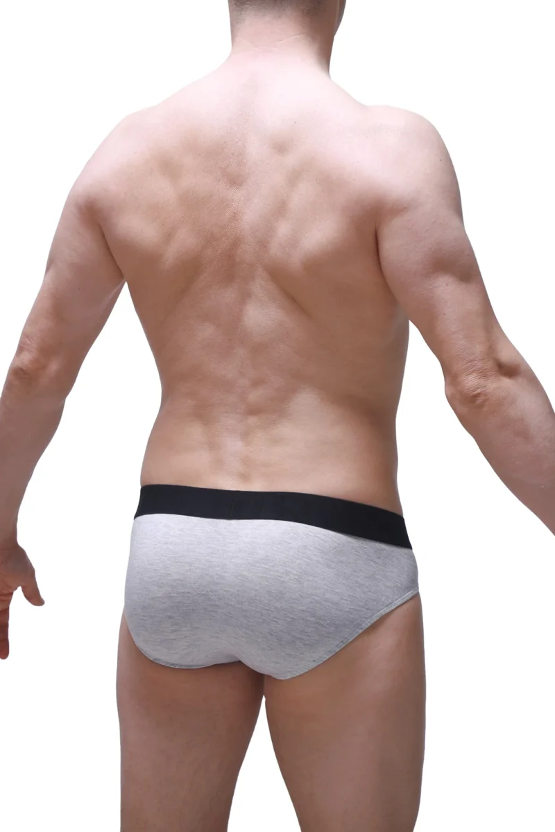 Brief Dome Modal Gray 1