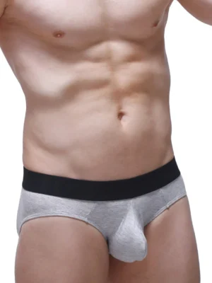 Brief Dome Modal Gray 3