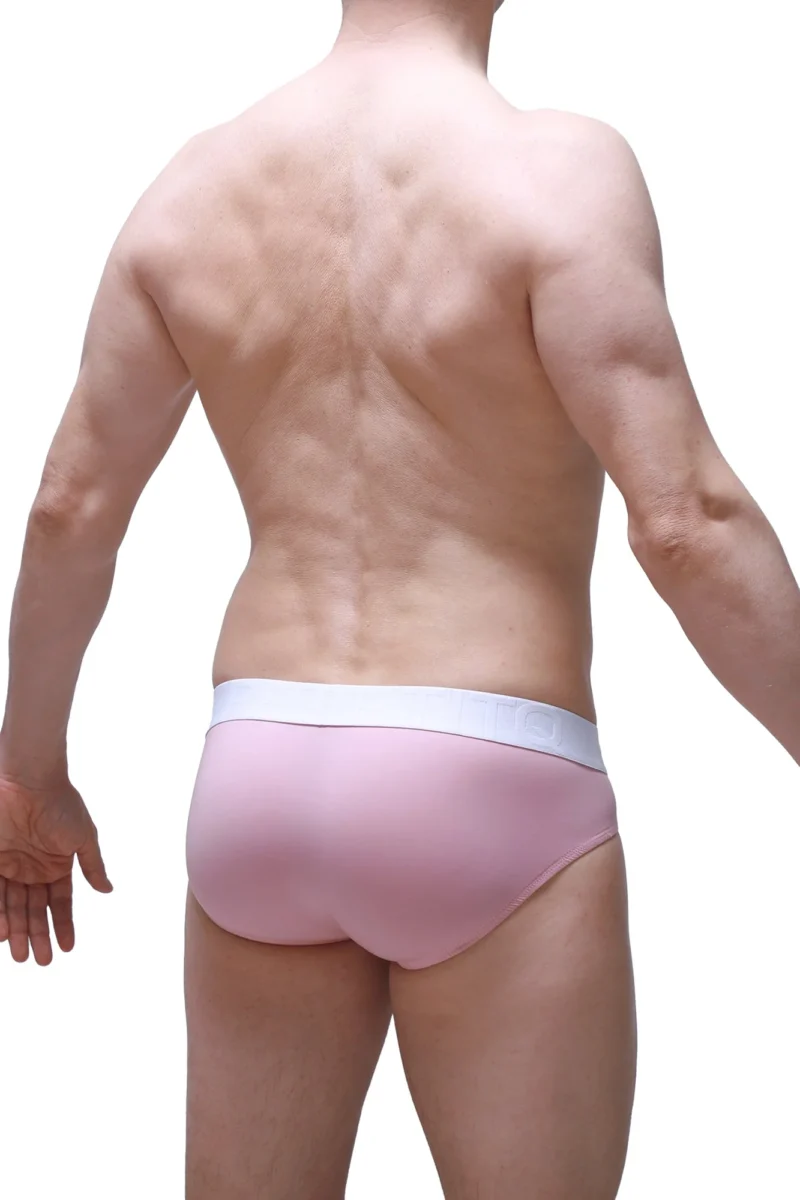 Brief Dome Tea Rose Petitq 1