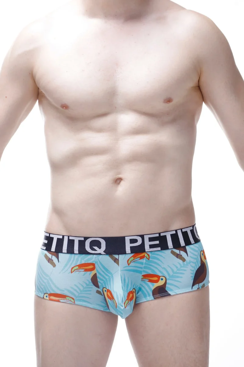 Brief Open Toucan 1