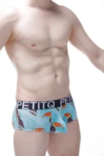 Brief Open Toucan 2