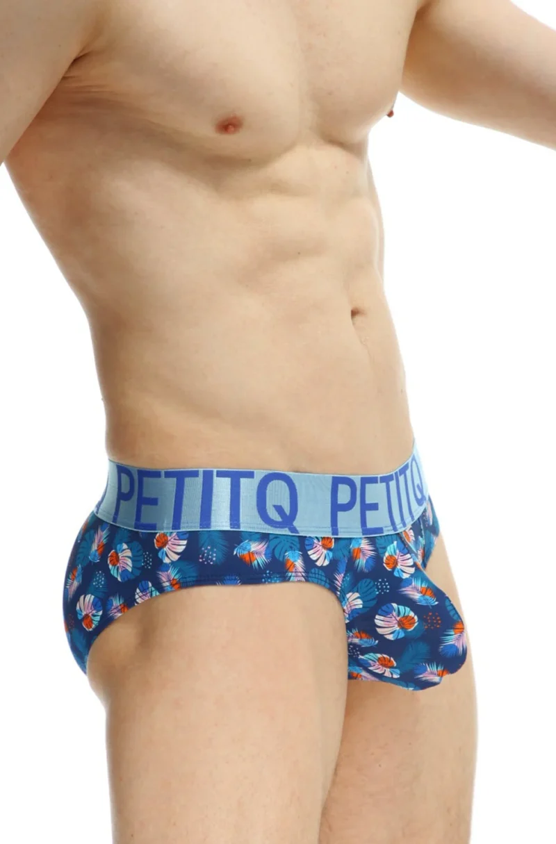 Brief Protruder Arteou Bulge 3