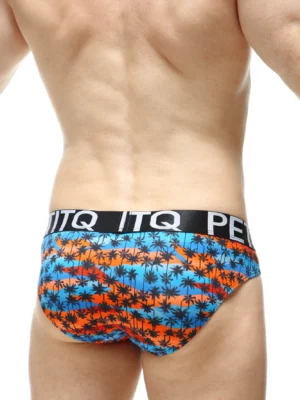 Brief Protruder Palmier Temae Petitq N072022 1