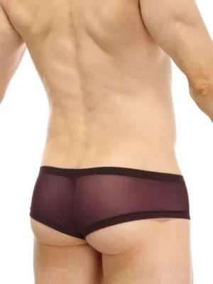Cheeky Boxer Net Chocolate Petitq 1 E194599d 9a77 49d9 Bff3 89c520d8e813