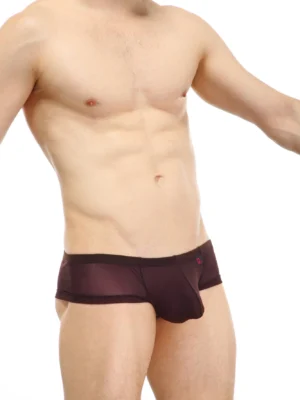 Cheeky Boxer Net Chocolate Petitq 3 2b1d28c2 F97b 429c B6ab 39e2a993b13a