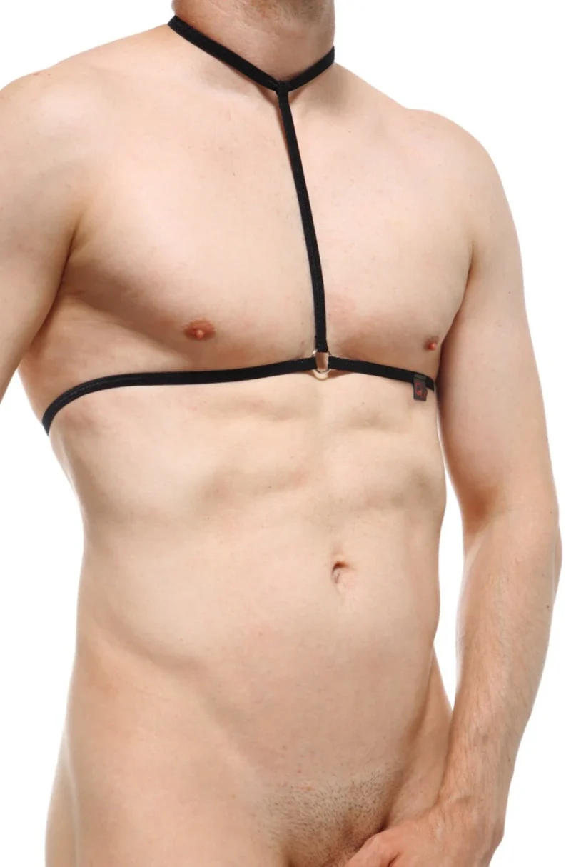 Harness Tanesi Black 3