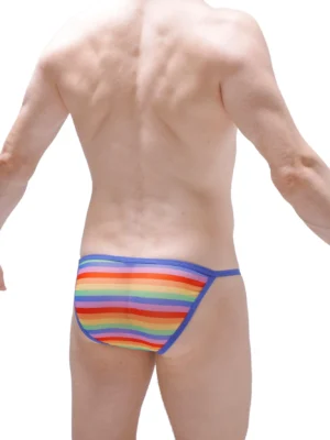 Kini Net Rainbow Petitq 2023 1