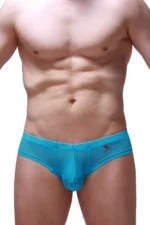 Mini Boxer Net Maya Blue 2