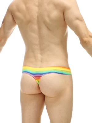 Mini Boxer Rainbow Petitq 1