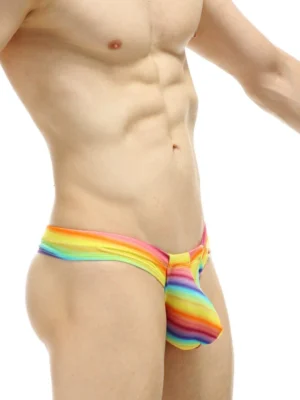 Mini Boxer Rainbow Petitq 3