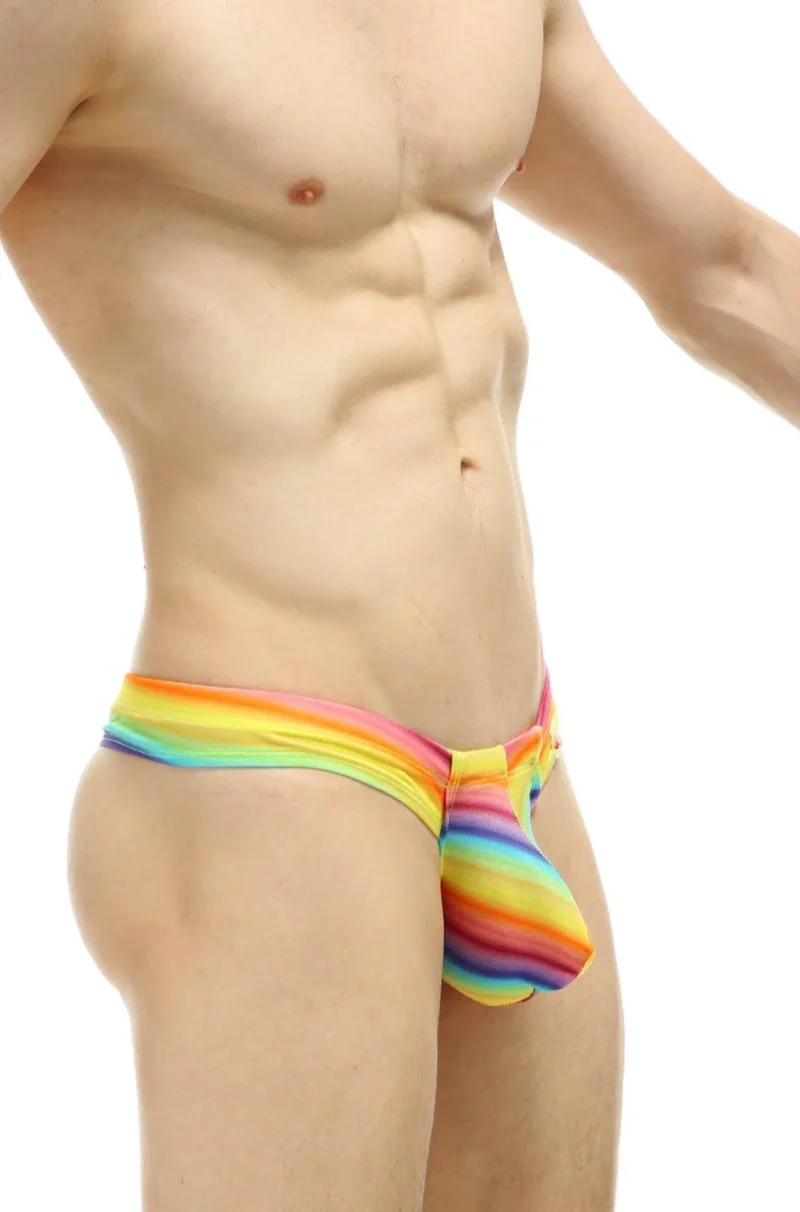 Mini Boxer Rainbow Petitq 3