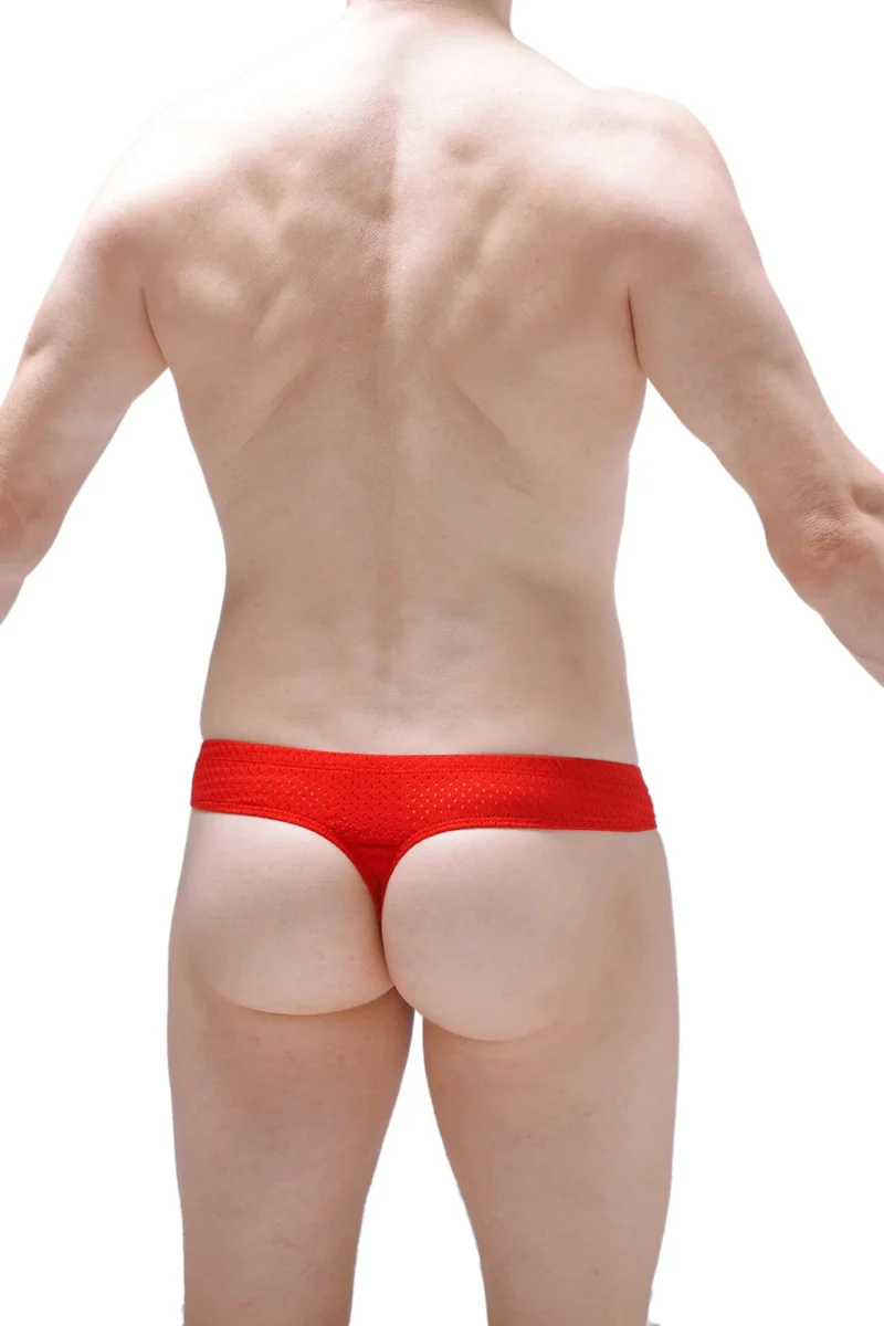 Mini Cheek Boxer Red Bee Petitq 1