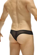Thong Bavent Palmier Petitq Temae 1