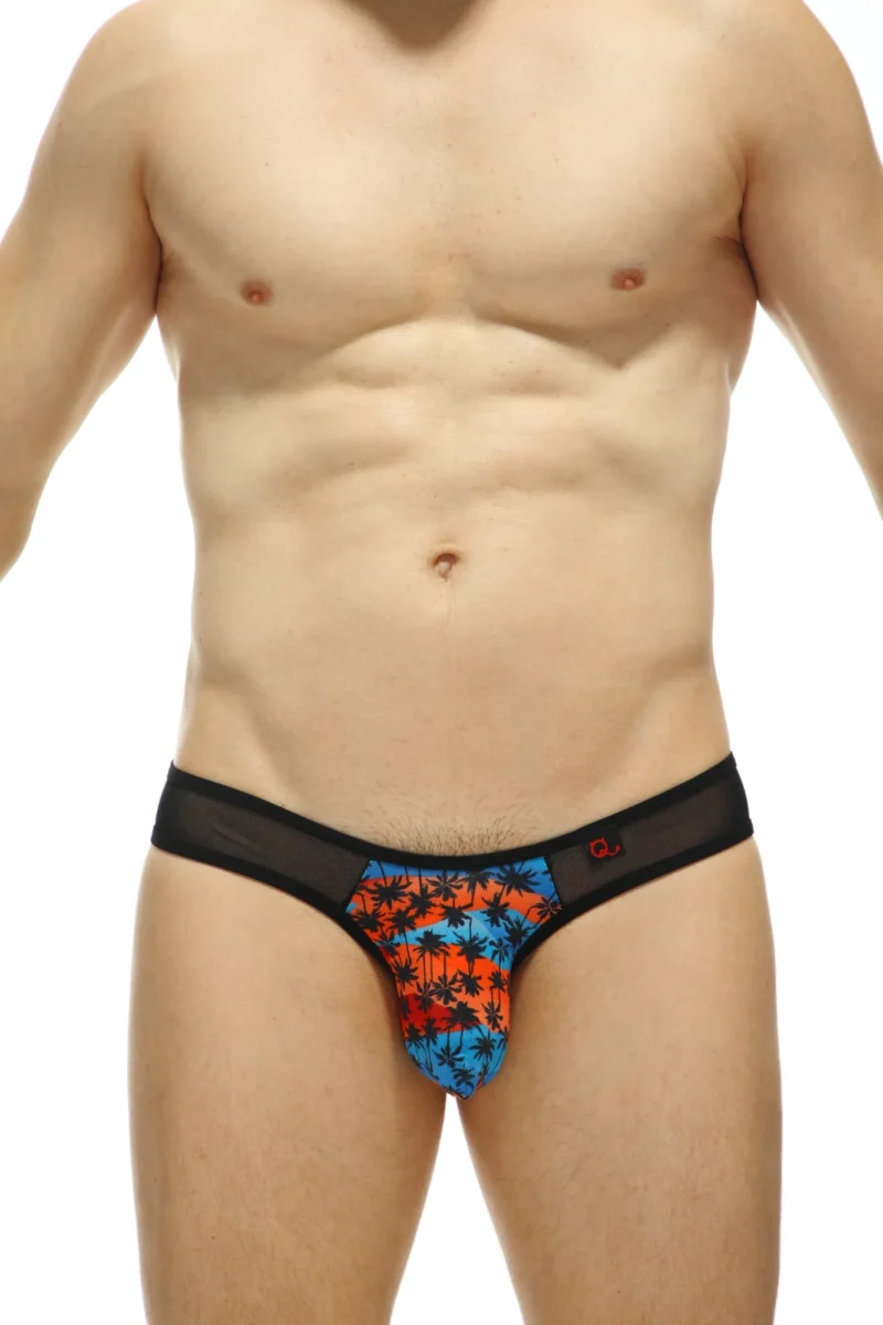 Thong Bavent Palmier Petitq Temae 2
