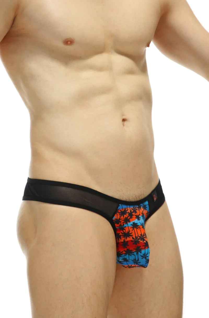 Thong Bavent Palmier Petitq Temae 3