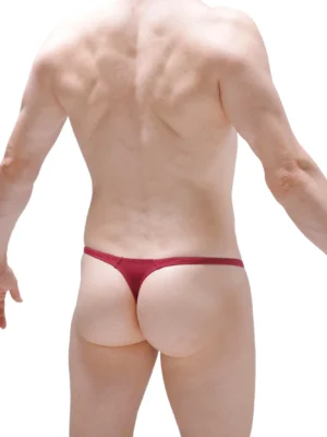 Thong Plellis Burgundy N122023 1