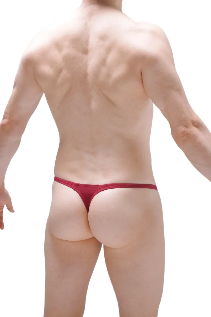 Thong Plellis Burgundy N122023 1