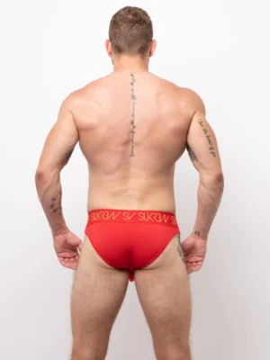 Bloomsbury Brief Back