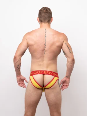 Chelsea V Brief Back