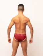 Classic Brief Burgundy Cream Back