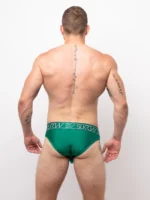 Classic Brief Emerald Back