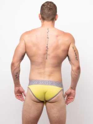 Classic Brief Ice Lemon Back