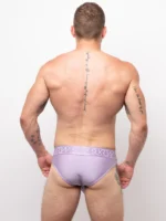 Classic Brief Lilac Back 33c77fa6 904c 4236 B97e 0a6d32370421