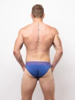 Classic Brief Royal Blue Back