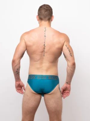 Classic Brief Topaz Back