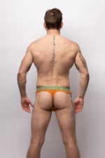 Classicthong Camel Back De256771 0f0d 4673 909e C14ab4b2a470