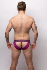 Vbrief Deep Purple Back