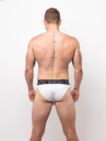 Windsor Brief Back E9a8e337 F9d7 4907 Bcfa 4f6d20bcd922