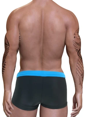 POSQ Blue Back 1