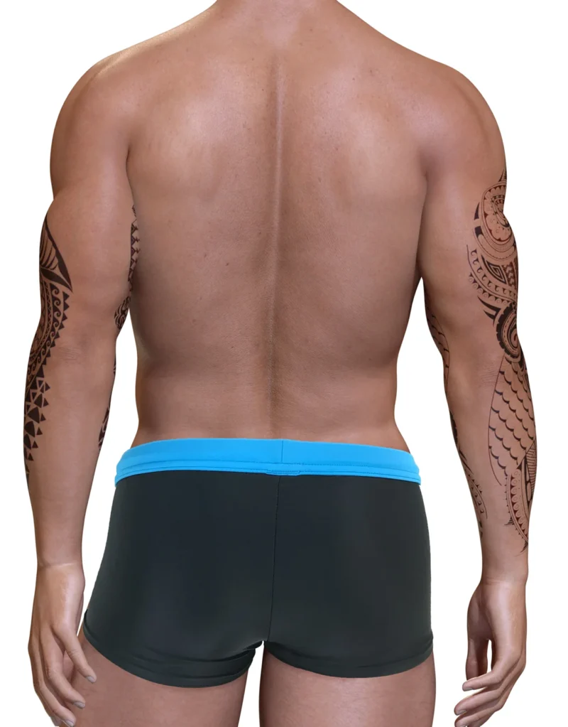 POSQ Blue Back 1