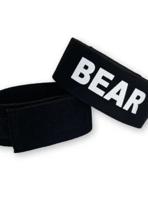WT BEAR2