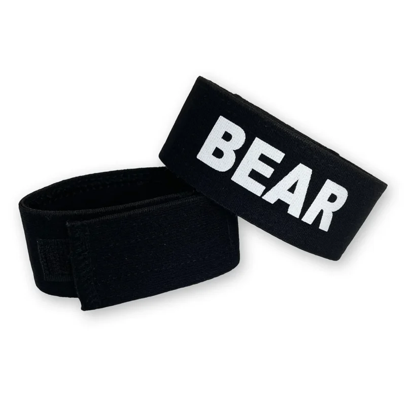 WT BEAR2