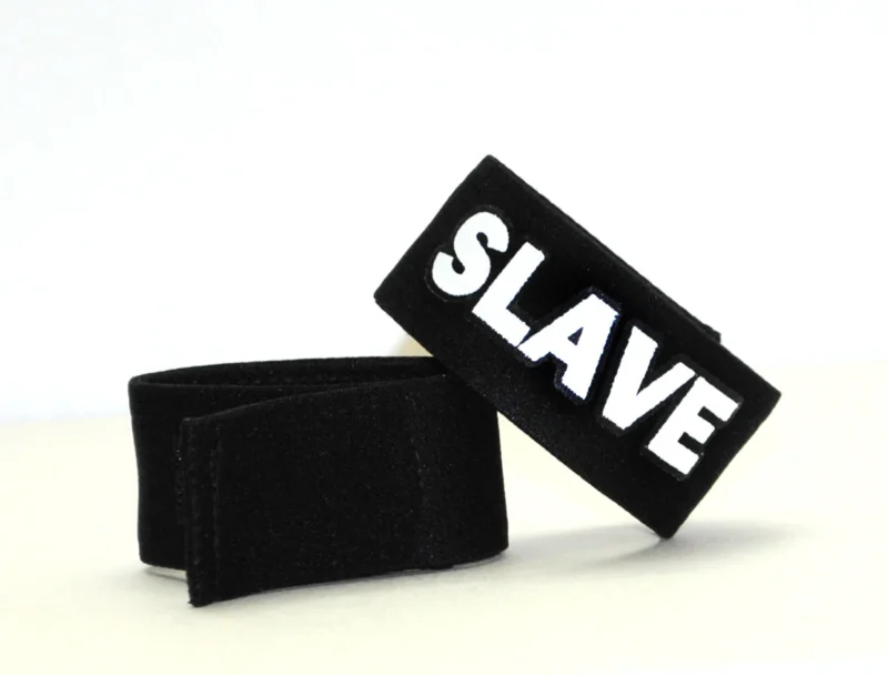 WT 32 SLAVE  07883.1401977390.1280.1280
