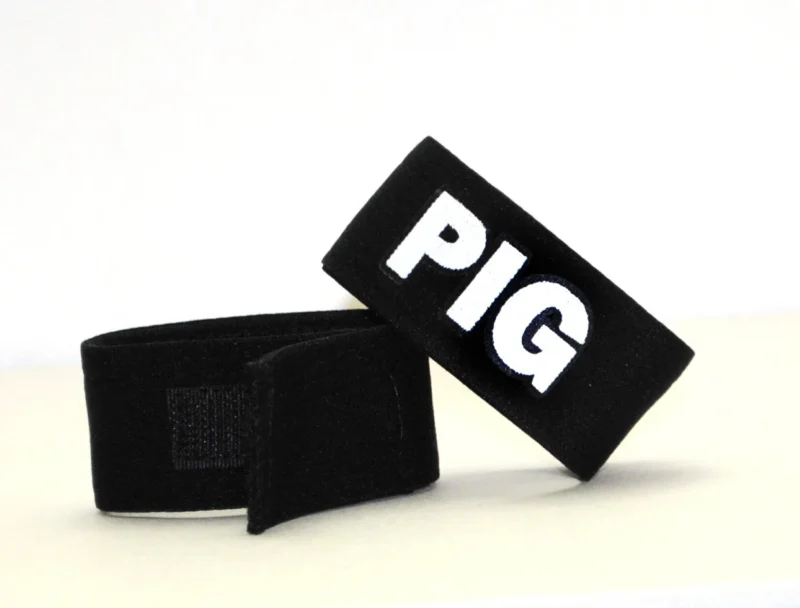 WT 32 Pig  47879.1401977056.1280.1280